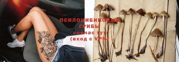 прущая мука Краснослободск